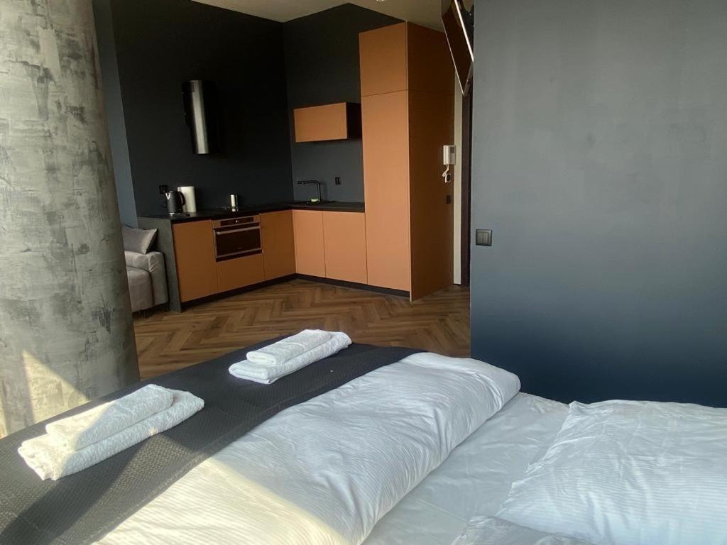 Apartment Panorama 21 Floor Hanza Tower